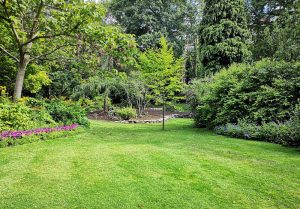 Optimiser l'expérience du jardin à Rosieres-sur-Mance